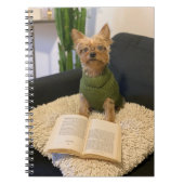 Yorkshire Terrier Dog Notizblock (Vorderseite)