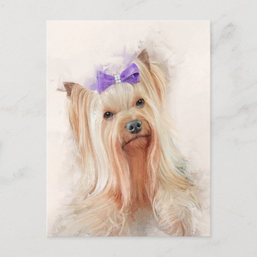 Yorkshire Terrier Dog Portrait Postkarte (Vorderseite)