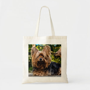 Yorkshire Terrier Dog Tragetasche