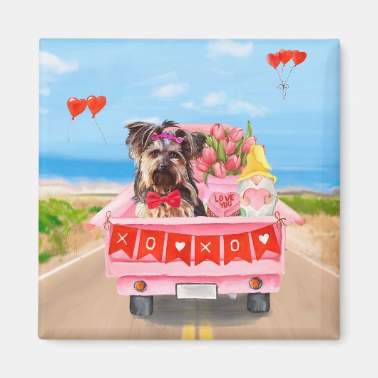 Yorkshire Terrier Dog Valentine's Day Truck Hearts Magnet (Vorne)