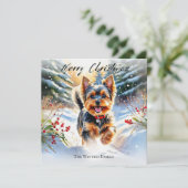 Yorkshire Terrier Dog Yorkie zu Weihnachten (Stehend Vorderseite)