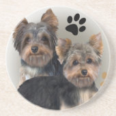 Yorkshire Terrier Double Trouble Untersetzer (Vorne)