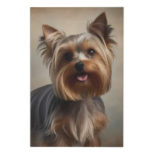 Yorkshire Terrier Elegante Leinwand