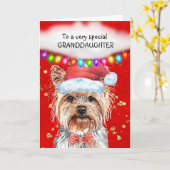 Yorkshire Terrier Enkelin niedliche Weihnachtswüns Karte (Gelbe Blume)