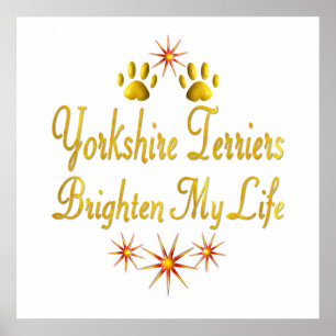 Yorkshire-Terrier erhellen mein Leben Poster