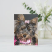 Yorkshire Terrier, ES IST RUFF OHNE DICH! Postkarte (Stehend Vorderseite)