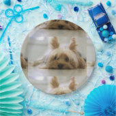 Yorkshire-Terrier flat.png Pappteller (Party)