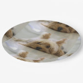 Yorkshire-Terrier flat.png Pappteller (Schrägansicht)