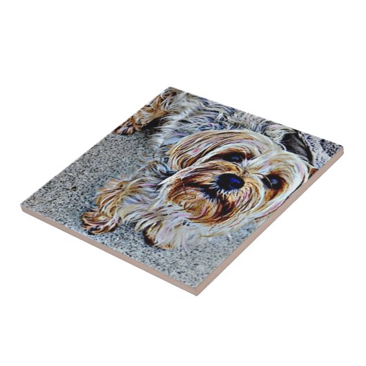 Yorkshire Terrier Fliese (Seite)