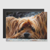 Yorkshire Terrier Foto Metallic Card Magnetkarte (Vorne/Hinten)