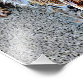 Yorkshire Terrier Fotodruck (Ecke)