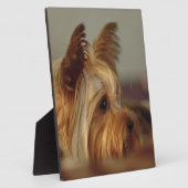 Yorkshire Terrier Fotoplatte (Seite)