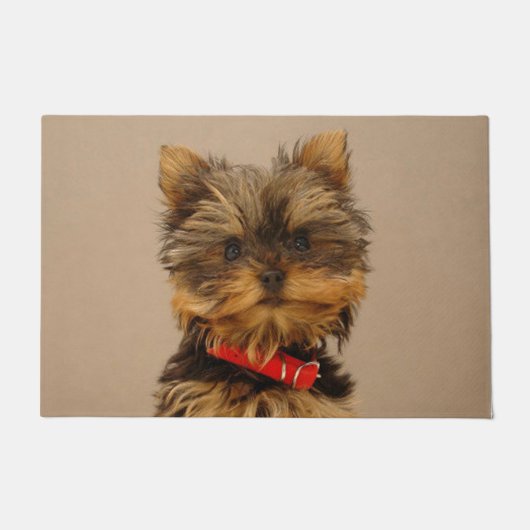 Yorkshire Terrier Fußmatte (Vorderseite)