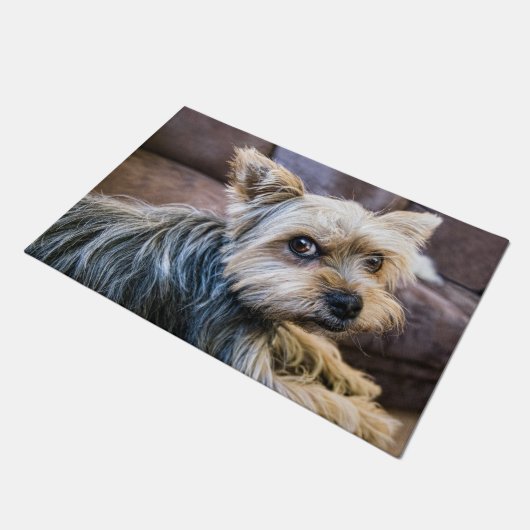 Yorkshire Terrier Fußmatte (Schrägansicht)