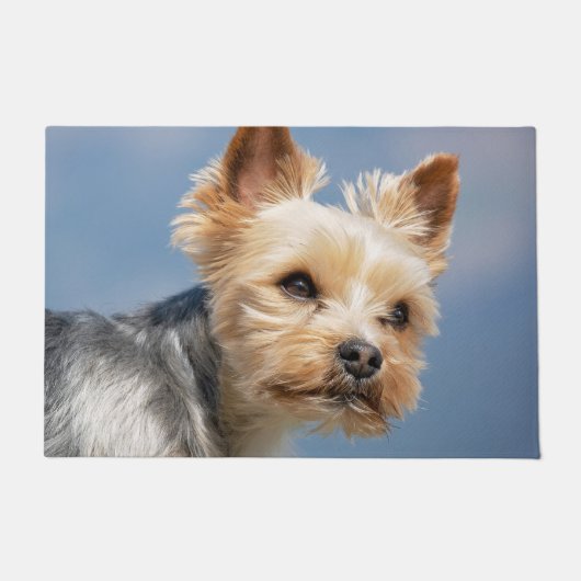 Yorkshire Terrier Fußmatte (Vorderseite)