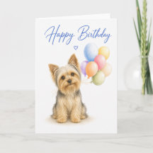 Yorkshire Terrier Geburtstag