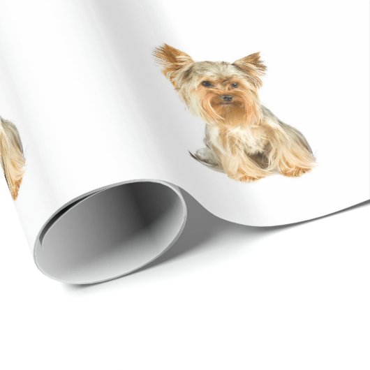 Yorkshire Terrier Geschenkpapier (Rolleneckpunkt)