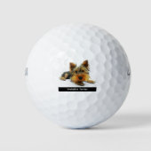 Yorkshire Terrier Golfball (Vorderseite)