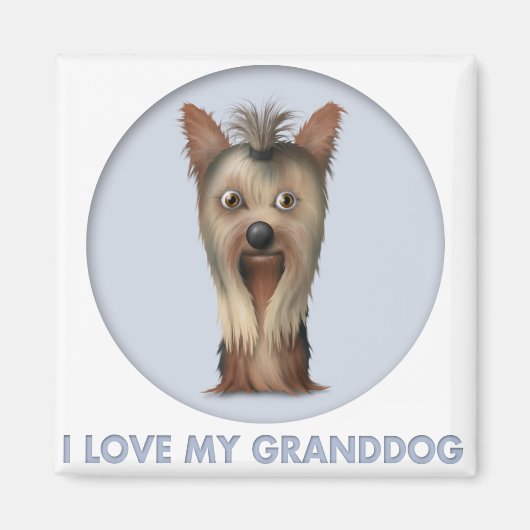 Yorkshire Terrier Granddog Magnet (Vorne)