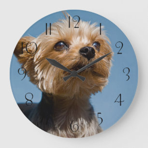Yorkshire Terrier Große Wanduhr
