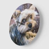Yorkshire Terrier Große Wanduhr (Winkel)