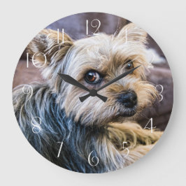 Yorkshire Terrier Große Wanduhr