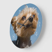 Yorkshire Terrier Große Wanduhr (Winkel)