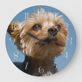 Yorkshire Terrier Große Wanduhr