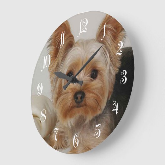 Yorkshire Terrier Große Wanduhr (Winkel)
