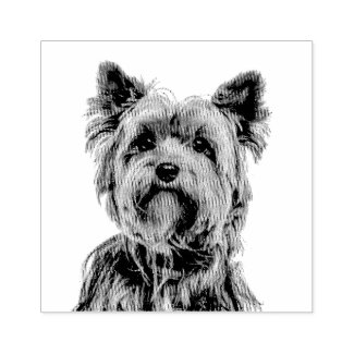 Yorkshire Terrier  Gummistempel