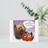 Yorkshire Terrier Halloween Candy Postkarte (Stehend Vorderseite)