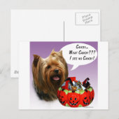 Yorkshire Terrier Halloween Candy Postkarte (Vorne/Hinten)