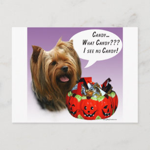 Yorkshire Terrier Halloween Candy Postkarte