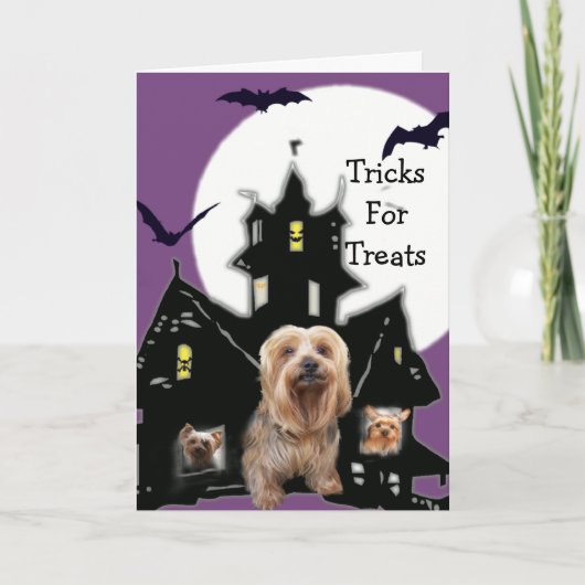 Yorkshire Terrier Halloween Grußkarte Karte (Vorderseite)