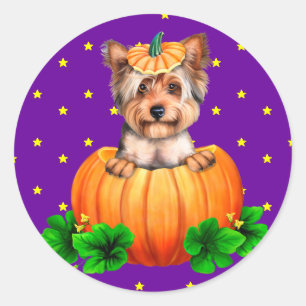 Yorkshire Terrier Halloween Jack-O-Lantern Runder Aufkleber