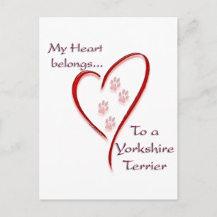 Yorkshire Terrier Heart Belongs Postkarte