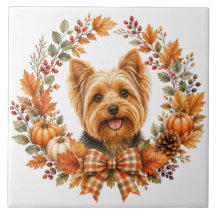 Yorkshire Terrier Herbst