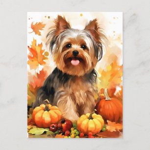 Yorkshire Terrier Herbst Thanksgiving  Postkarte