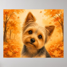 Yorkshire Terrier Herbstwald Hund