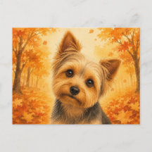 Yorkshire Terrier Herbstwald Hund