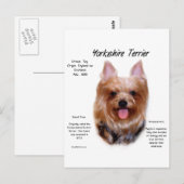 Yorkshire Terrier History Design Postkarte (Vorne/Hinten)