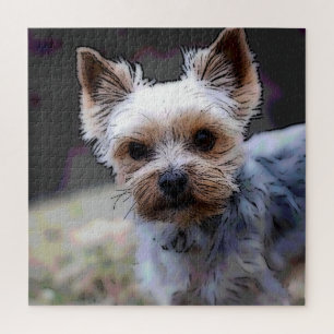 Yorkshire Terrier, Hund, Haustier Puzzle
