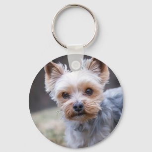 Yorkshire Terrier, Hund, Haustier Schlüsselanhänger