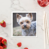 Yorkshire Terrier, Hund, Haustier Serviette (Beispiel)