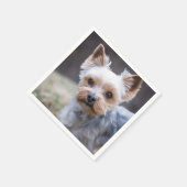 Yorkshire Terrier, Hund, Haustier Serviette (Ecke)