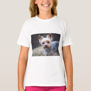 Yorkshire Terrier, Hund, Haustier T-Shirt