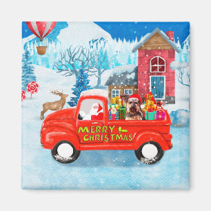 Yorkshire Terrier Hund Weihnachtslieferwagen Magnet