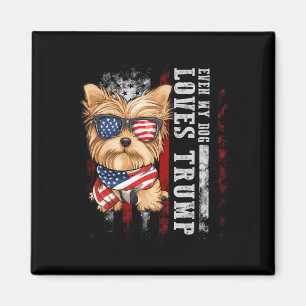Yorkshire Terrier Hund Yorkie Sogar mein Hund lieb Magnet