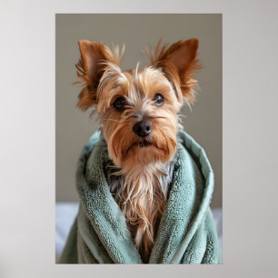 Yorkshire Terrier in Bademantel, lustiger Hund Bad Poster