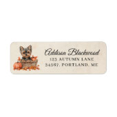 Yorkshire Terrier in einem Kürbiskorb (Vorne)